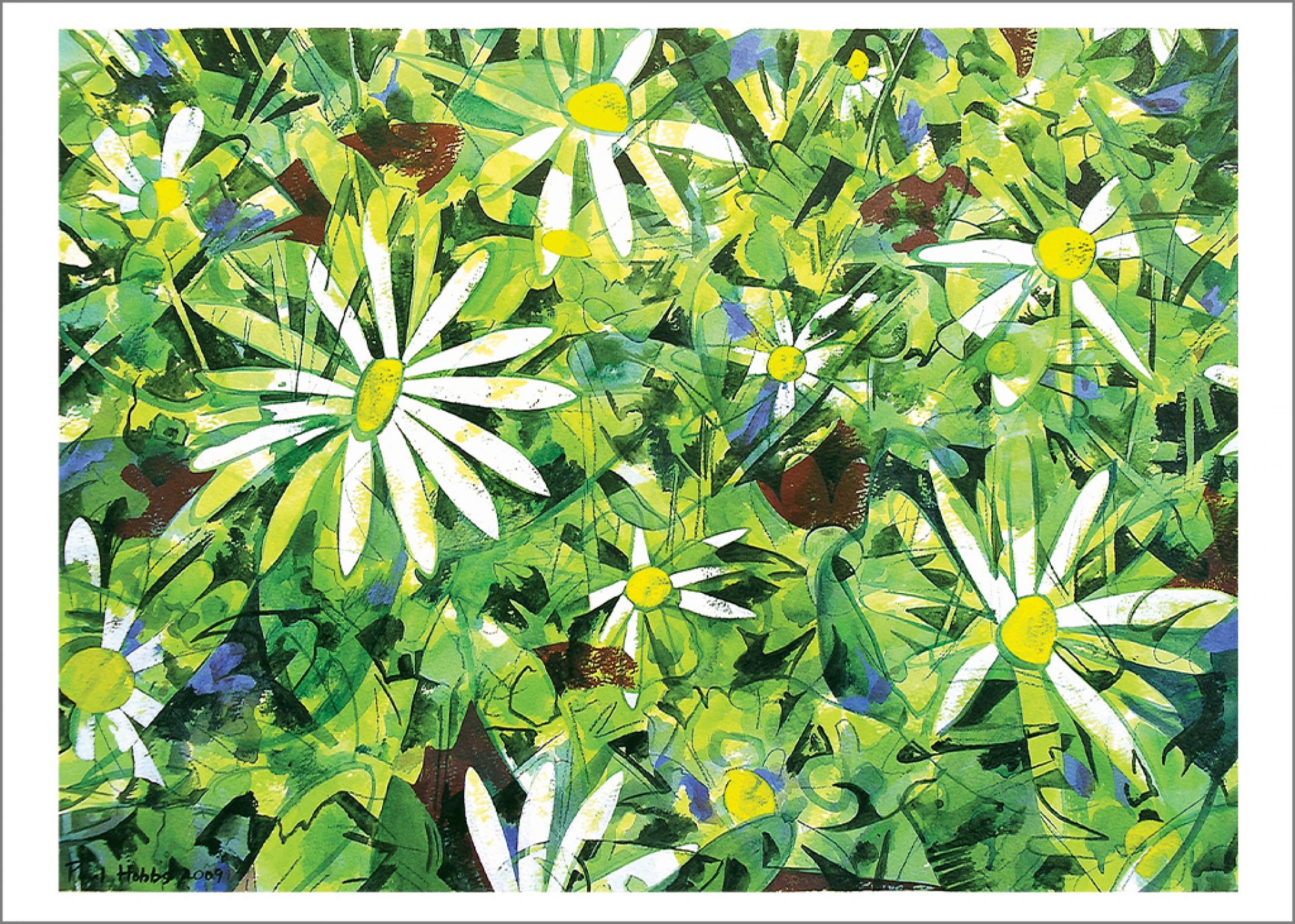 Daisy Fresh - greeting card